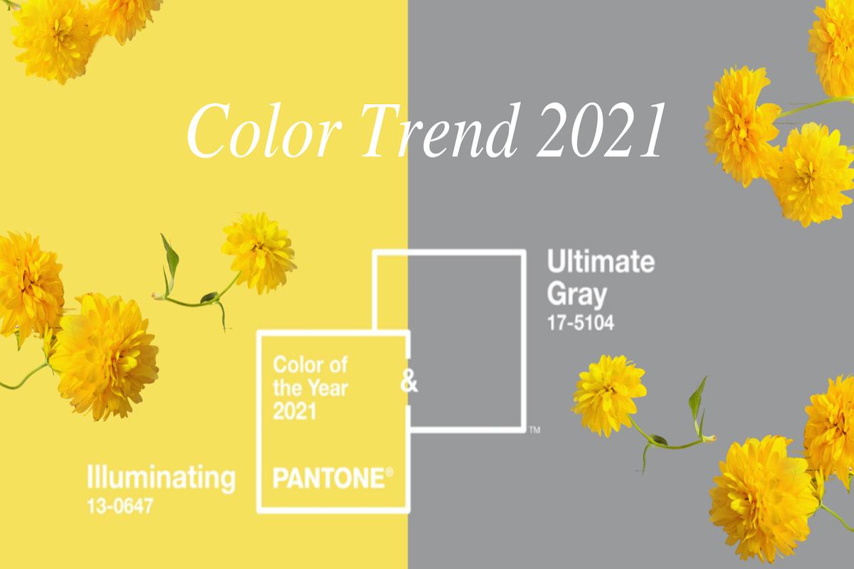 COLOR TREND 2021