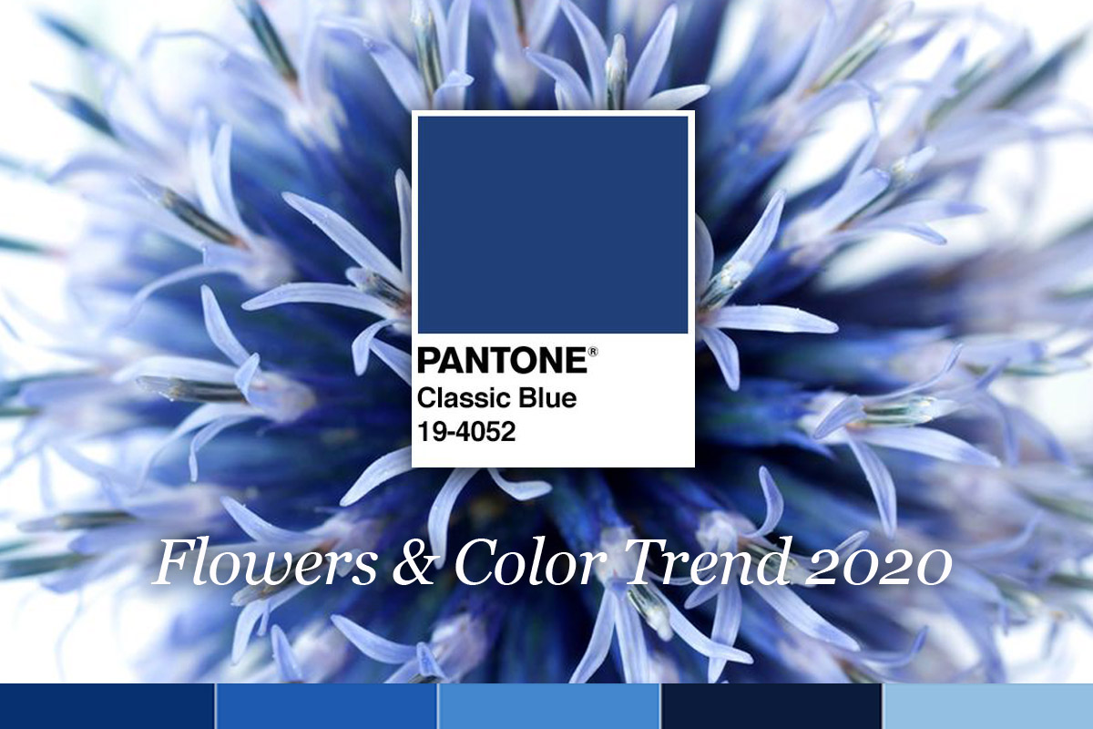 2020 Flower & Color Trend of the year