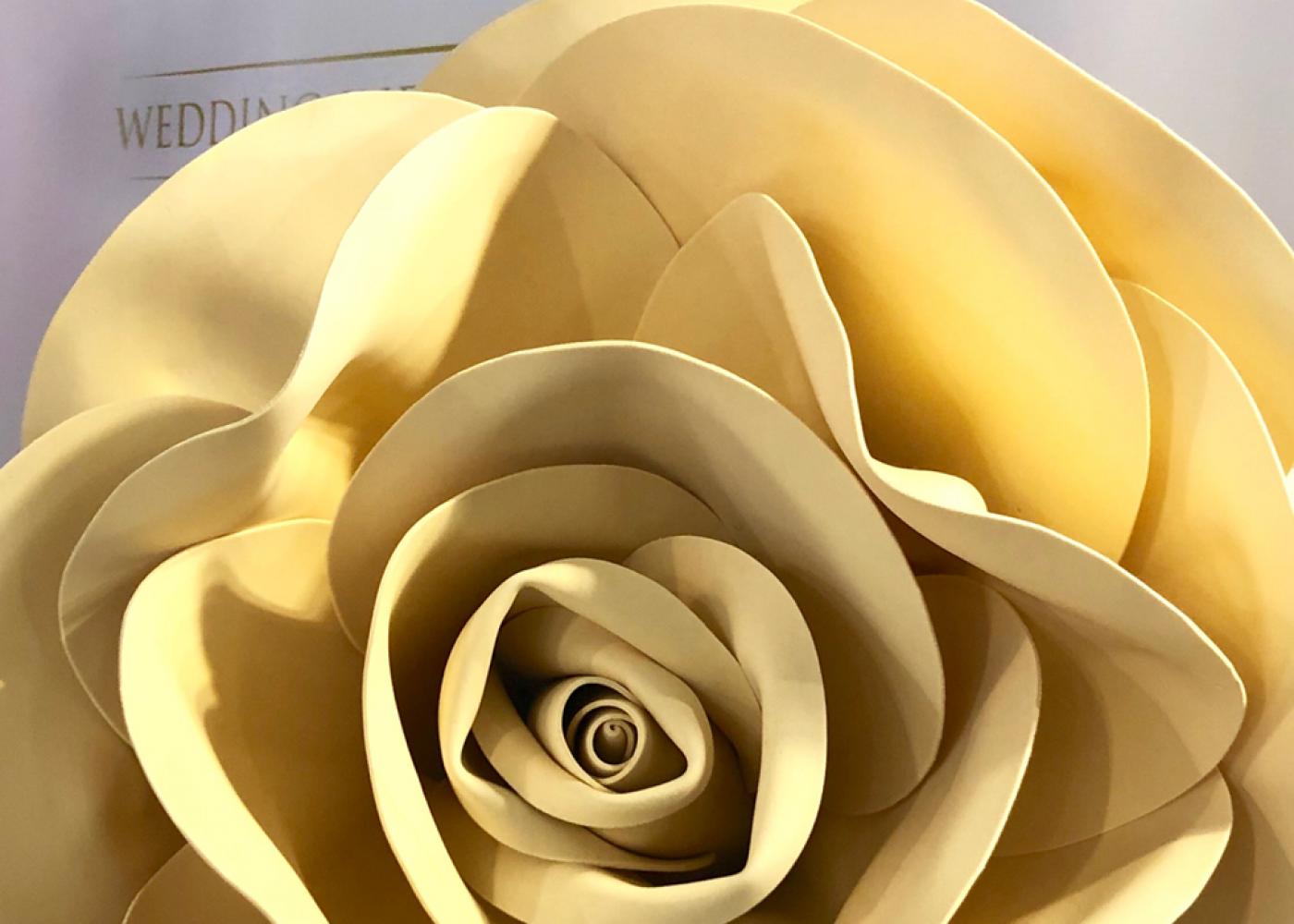Corso Giant Paper Flower